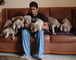 Cachorros weimaraner hombres y mujeres