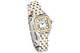 Cartier panthere -dama