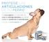 Condroprotectores para perro