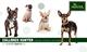 Hunter collares perro en madrid - nuestroperro