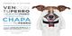 Regalamos chapas identificativas para tu perro