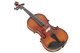 Viola gara sva-100 14