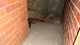 Se vende casa para restaurar de piedra en noice - Foto 3