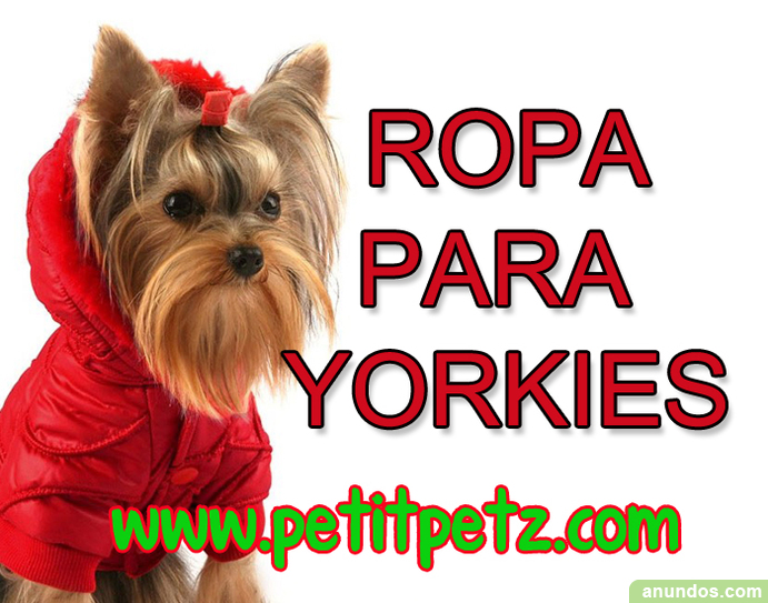 Abrigos para perros - ropa para chihuahuas yorkshire - Alconchel