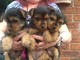 Los cachorros de yorkshire terrier miniatura