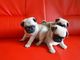 Cachorros Pug - Foto 1