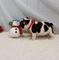Navidad akc bulldog ingles drfgbn fvn fb - Foto 1