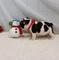 Navidad akc bulldog ingles drfgbn fvn fb