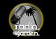 Radio garden la radio que se escucha
