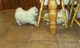 Adorables cachorros samoyedo pedigree