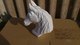 Escultura cabeza caballo piedra artificial - Foto 4