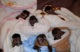 Hogar planteadas bebés monos y chimpancés bebés