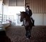 Friesian caballo increíble y lleno de energía VENTA . - Foto 2