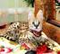 Serval, caracal gatitos Savannah y disponibles para la venta - Foto 6