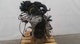 Motor completo tipo bgu de volkswagen 