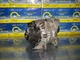 Alternador tipo 028903028e de seat 