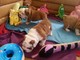 Cachorros de bulldog inglés - Foto 1