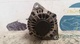 Alternador hyundai terracan ta000a61201