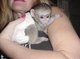 Bebé monos capuchinos para la adopción inteligentes - Foto 1