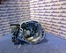 Caja cambios tipo b28423f13n355 de opel