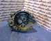 Caja de cambios de fiat bravo