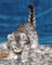 Grandes gatitos sabana necesitan realojamiento - Foto 1