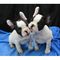 Regalo 2 CACHORROS DE BULLDOG FRANCÉS CON PEDIGREE A PRECIO DE RE - Foto 1