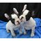 Regalo preciosos cachorros bulldog francés disponibles para adopc