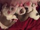 Reciente camada nació tres cachorros