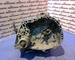 Caja de cambios jb1186 de renault clio