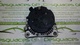 Alternador de ford galaxy