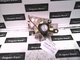 Bombin porton tra. 8l0862055a de