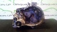 Caja cambios de renault r21 id126629
