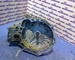 Caja de cambios f23 de opel astra