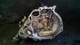 Caja cambios de nissan almera id118054