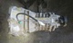 Caja cambios de opel omega id102816