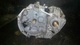 Caja cambios de renault clio id109366