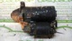 Motor arranque de ford fiesta id99344