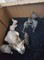 5 gatitos de Sphynx hermosa - Foto 1