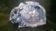 Caja cambios de ford mondeo id108789