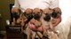 Gratis registrados de bullmastiff cachorros