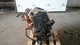 Motor completo 20t2n land rover