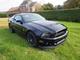 Ford mustang shelby gt500 sport