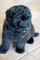 Regalo Bouvier de Flandes cachorros su adopcion - Foto 1