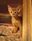 Gratis gatitos abyssinian disponibles su adopcion - Foto 1