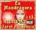 Tarot la mandragora videncia magia blanca 912173142 - Foto 1