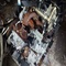 Motor 27812 de ford focus berlina (cap) - Foto 1