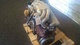 Motor id110086 motor tipo 206ka de bmw - Foto 4