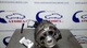 Alternador 817748 de citroen c5 berlina