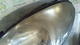 Faro - 3315984 - citroen xsara picasso